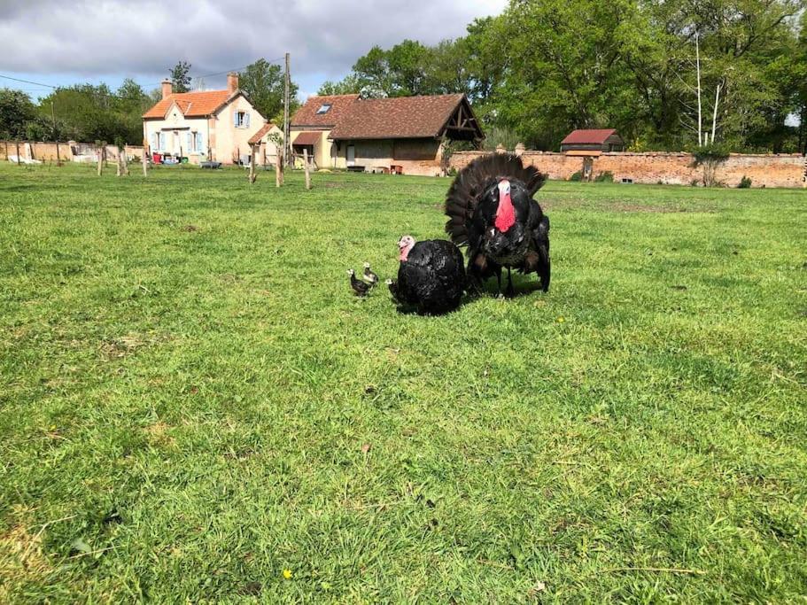 Maison Au Milieu Des Bois Et Des Animaux Jouy-le-Potier エクステリア 写真