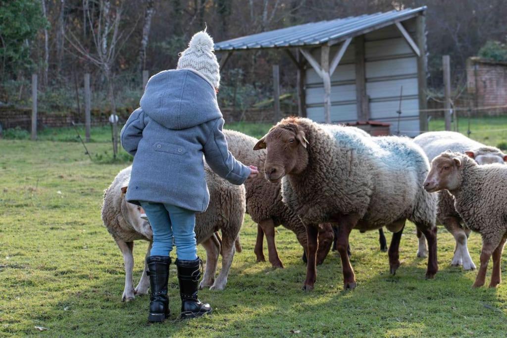 Maison Au Milieu Des Bois Et Des Animaux Jouy-le-Potier エクステリア 写真