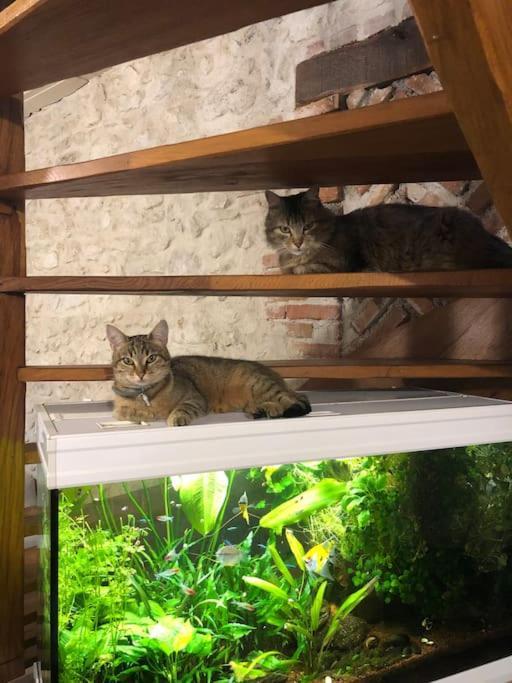 Maison Au Milieu Des Bois Et Des Animaux Jouy-le-Potier エクステリア 写真