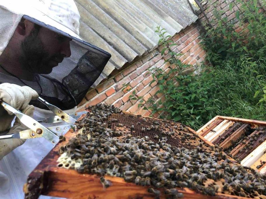Maison Au Milieu Des Bois Et Des Animaux Jouy-le-Potier エクステリア 写真
